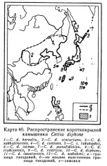 Короткокрылая камышевка - Cettia diphone карта ареала