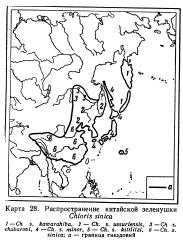 Chloris sinica map areal