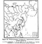 Eophona migratoria map areal
