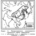 Клинохвостый сорокопут - Lanius sphenocercus карта ареала обитания-1