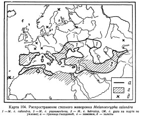 Степной жаворонок - Melanocorypha calandra map areal-1