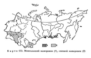 Степной жаворонок - Melanocorypha calandra карта ареала-2