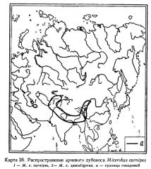 Mycerobas carnipes map areal