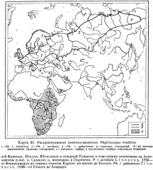 Пеночка-весничка - Phylloscopus trochilus map areal