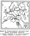 Вертлявая камышевка - Acrocephalus paludicola - карта ареала