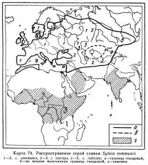 Sylvia communis map areal