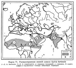 Sylvia hortensis map areal