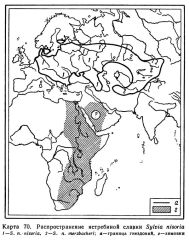 Sylvia nisoria map areal
