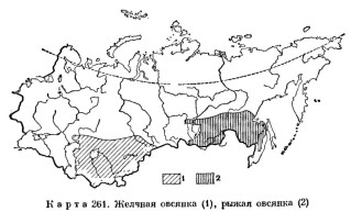 Рыжая овсянка - Ocyris rutilus карта ареала-2