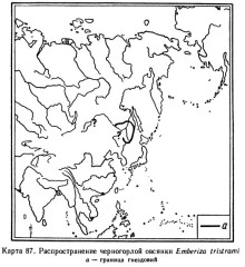 Таежная овсянка - Ocyris tristrami map areal-1