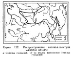 Соловей-свистун - Luscinia sibilans карта ареала обитания-2