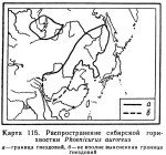 Сибирская горихвостка - Phoenicurus auroreus карта ареала обитания-2