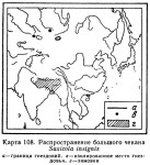 Большой чекан - Saxicola insignis карта ареала обитания-1
