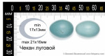 Луговой чекан - Saxicola rubetra яйца-1
