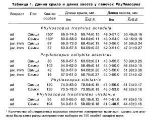 Определение  пола у восточноевропейских  пеночек рода  Phylloscopus. Таблица 1