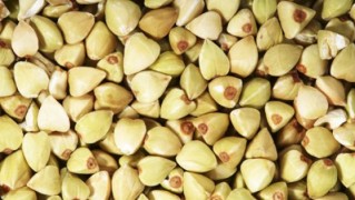 Fagоpyrum esculеntum1