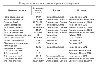 Содержание липидов в семенах деревьев и кустарников