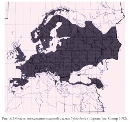 Рис. 5. Область гнездования садовой славки Sylvia borin в Европе (из Cramp 1992