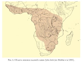Рис. 6. Область зимовок садовой славки Sylvia borin (из Shirihai et al. 2001
