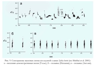 Рис. 9. Сонограммы звуковых сигналов садовой славки Sylvia borin (из: Shirihai et al. 2001):   а – весенняя демонстративная песня (Уэльс), б – позывка (Испания), в – позывка (Англия)