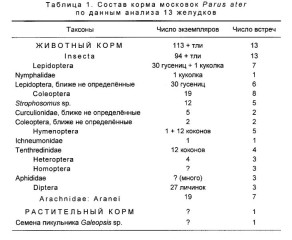 Таблица  1.  Состав  корма  московок  Parus  ater  по  данным  анализа  13  желудков
