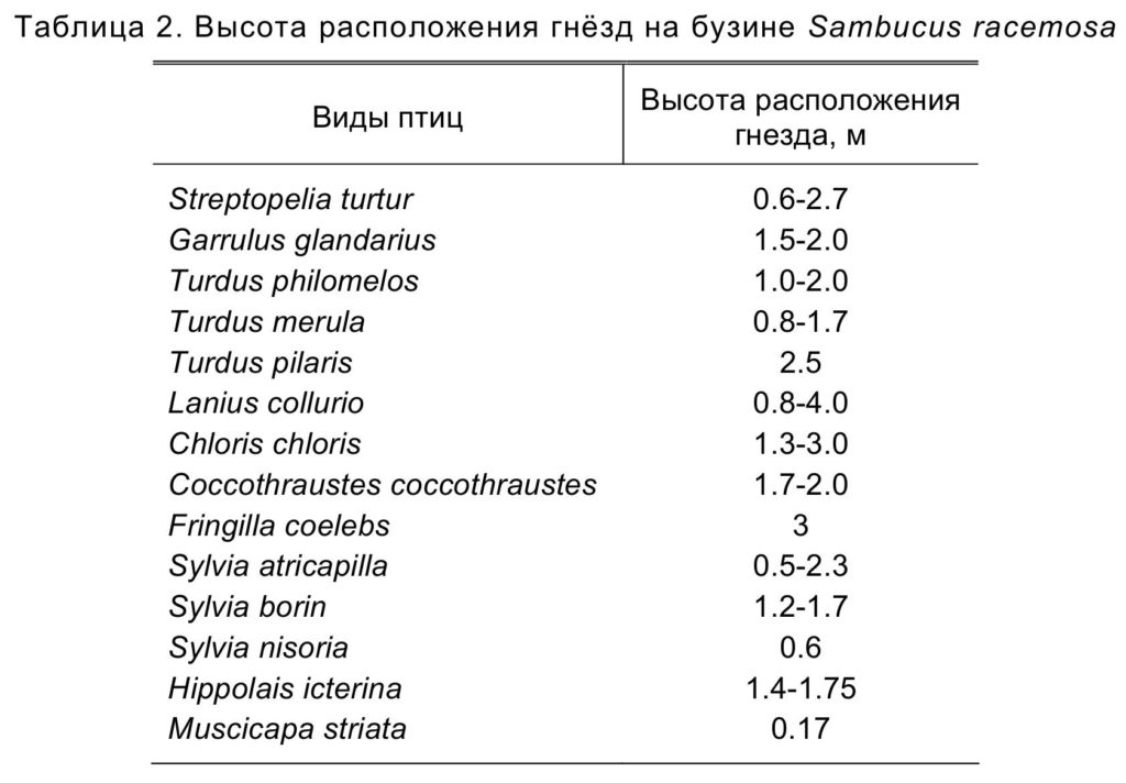 Таблица 2. Высота расположения гнёзд на бузине Sambucus racemosa