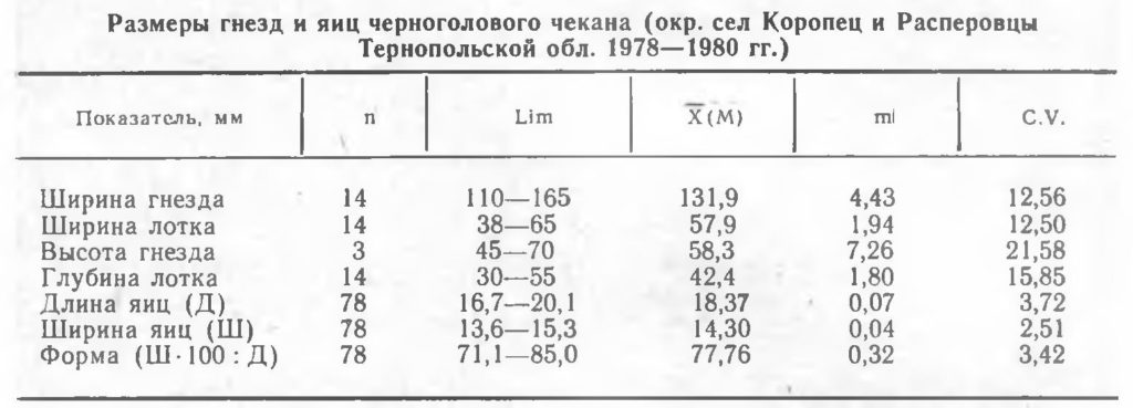 Размеры гнезд и яиц черноголового чекан