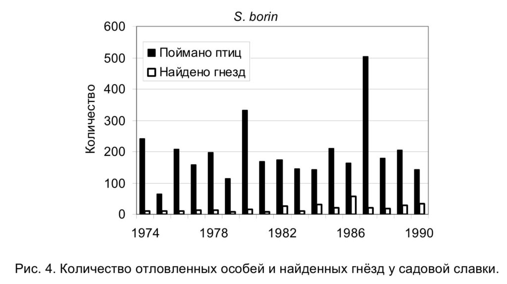 Рис. 5. Количество отловленных особей и найденных гнёзд у садовой славки
