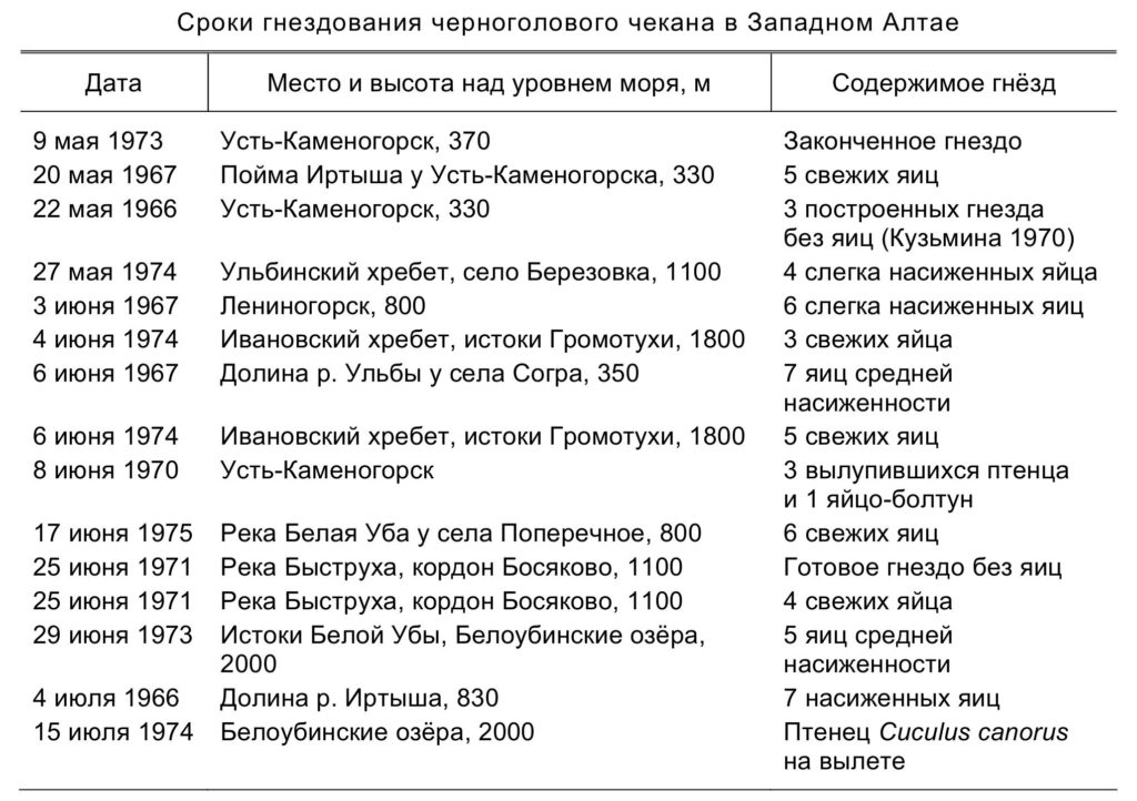 Сроки гнездования черноголового чекана в Западном Алтае
