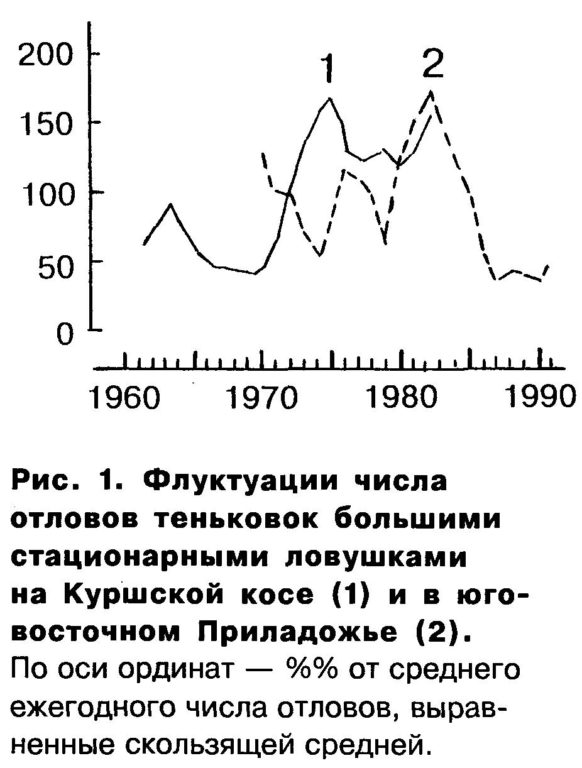 Рис. 1. Флуктуации числа