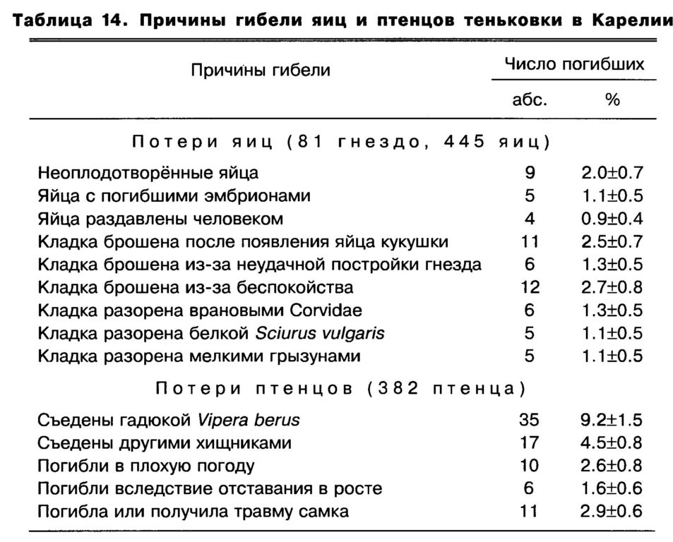 Таблица  14.  Причины  гибели  яиц  и  птенцов  теньковки  в  Карелии