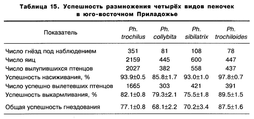 Таблица  15.  Успешность  размножения  четырёх  видов  пеночек  в  юго-восточном  Приладожье