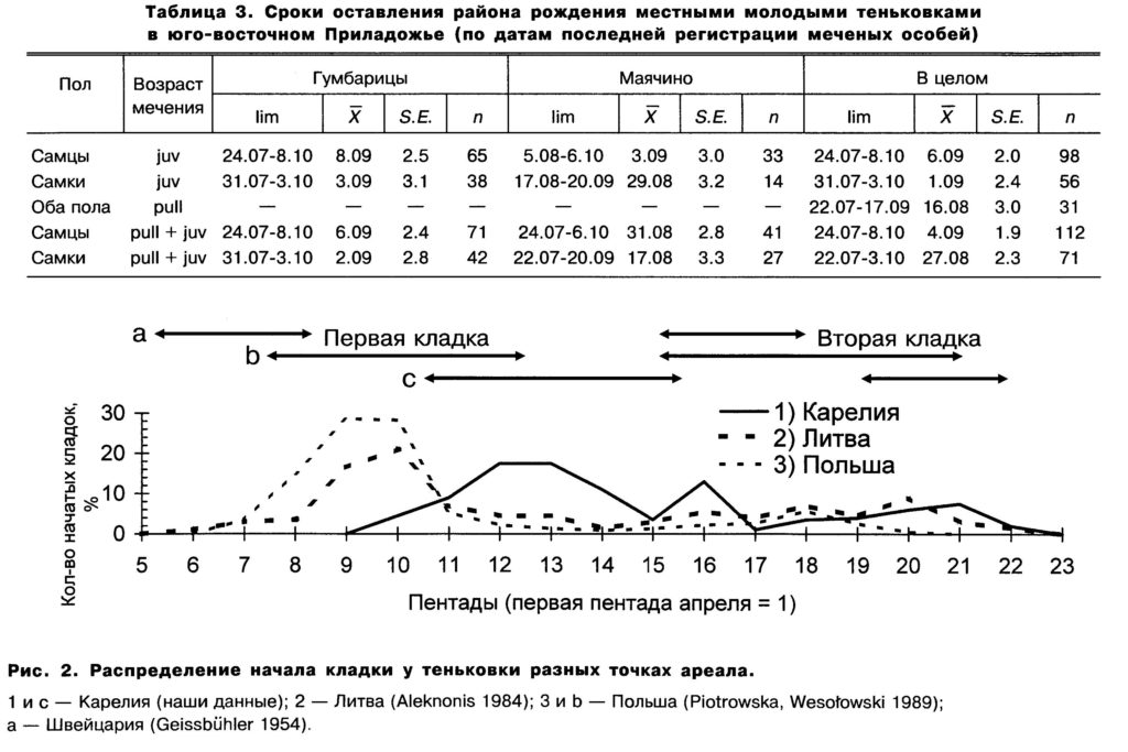Таблица 3. Сроки оставления района рождения местными молодыми теньковками