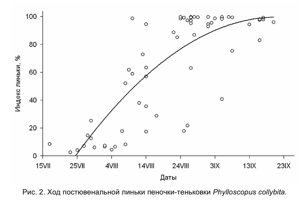 Рис. 2. Ход постювенальной линьки пеночки-теньковки Phylloscopus collybita