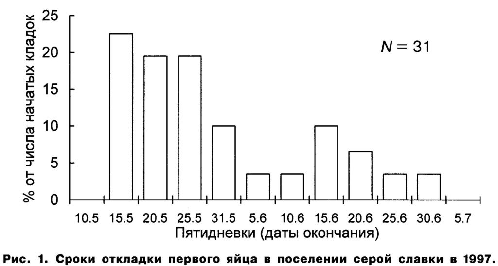 Рис.  1.  Сроки  откладки  первого  яйца  в  поселении  серой  славки  в  1997.