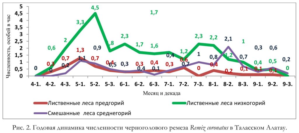 Рис. 2. Годовая динамика численности черноголового ремеза Remiz coronatus в Таласском Алатау