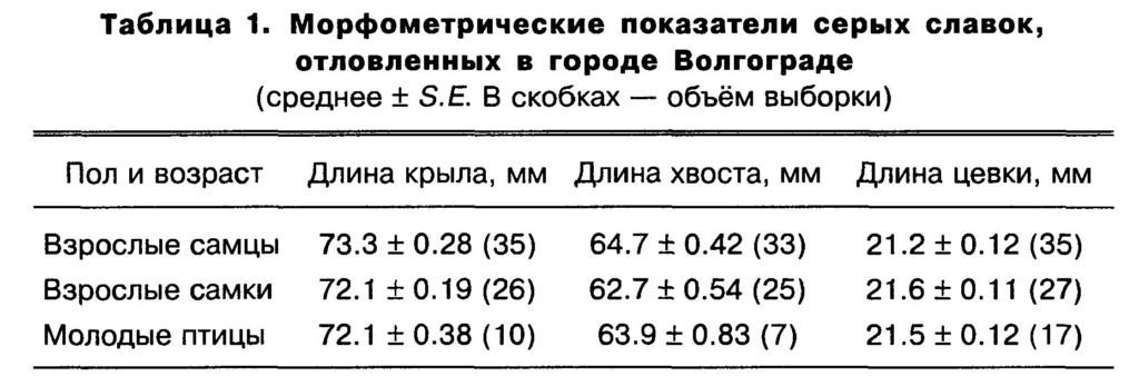 Таблица  1.  Морфометрические  показатели  серых  славок,  отловленных  в  городе  Волгограде