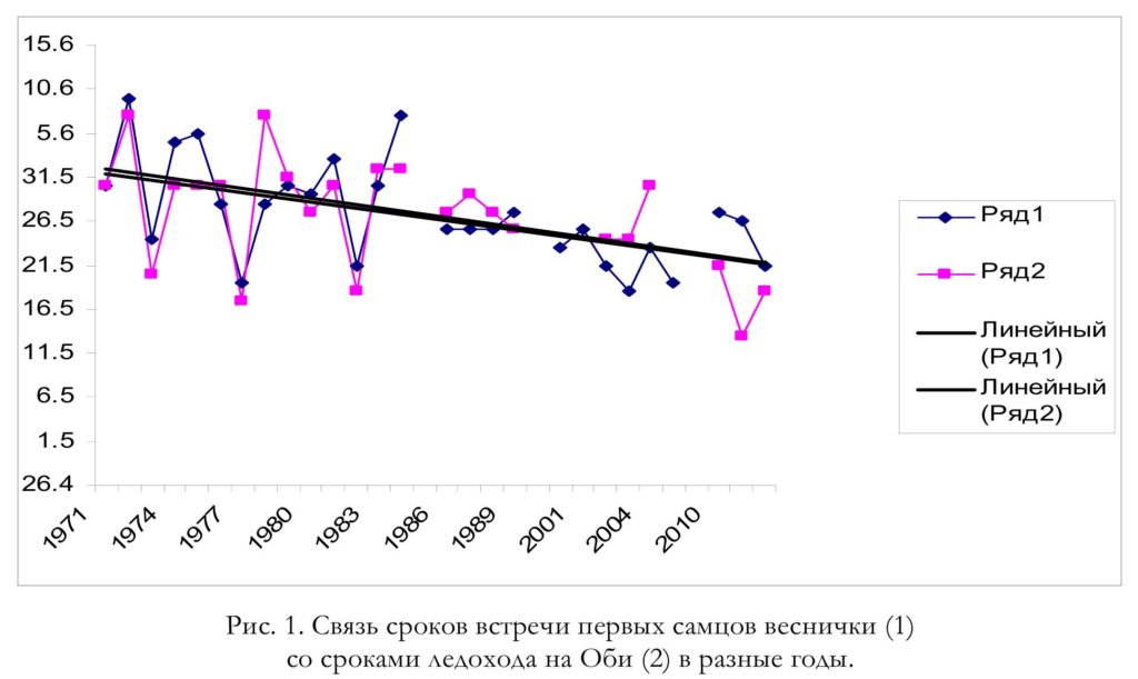Рис. 1. Связь сроков встречи первых самцов веснички (1) со сроками ледохода на Оби (2) в разные годы