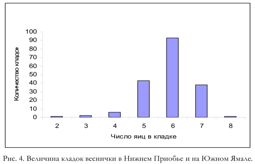 Рис. 4. Величина кладок веснички в Нижнем Приобье и на Южном Ямале.