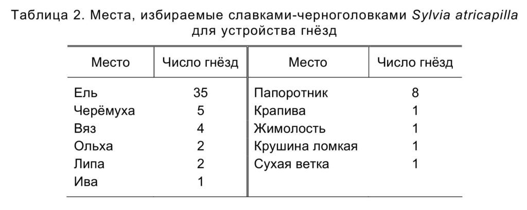 Таблица 2. Места, избираемые славками-черноголовками Sylvia atricapilla   для устройства гнёзд