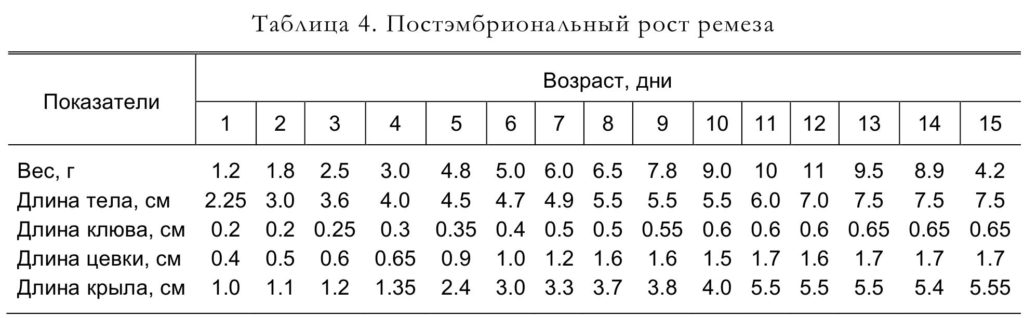 Таблица 4. Постэмбриональный рост ремеза