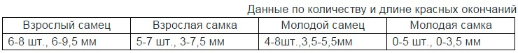 Данные по количеству и длине красных окончаний