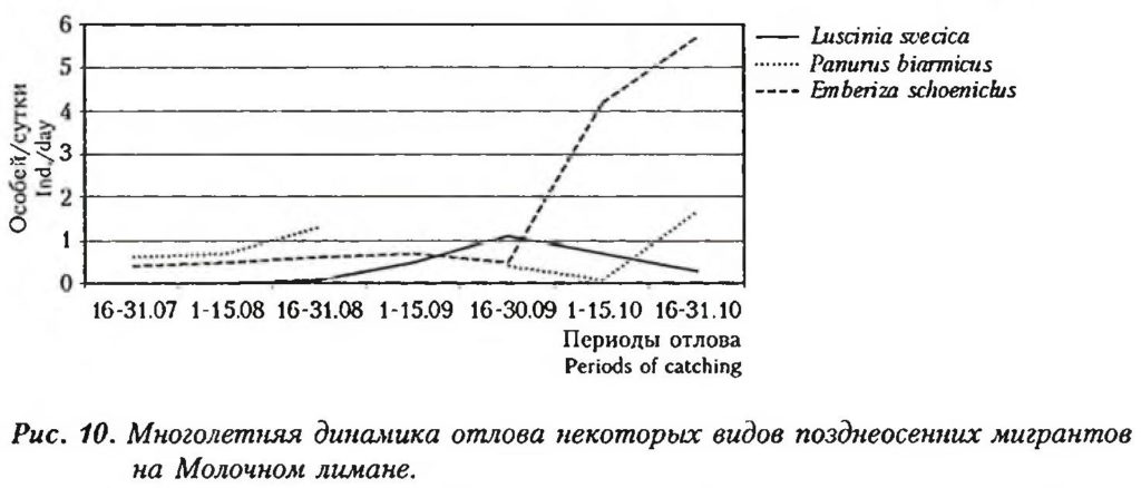 Puc. 10. Многолетняя динамика отлова некоторых видов позднеосенних мигрантов на Молочном лимане.