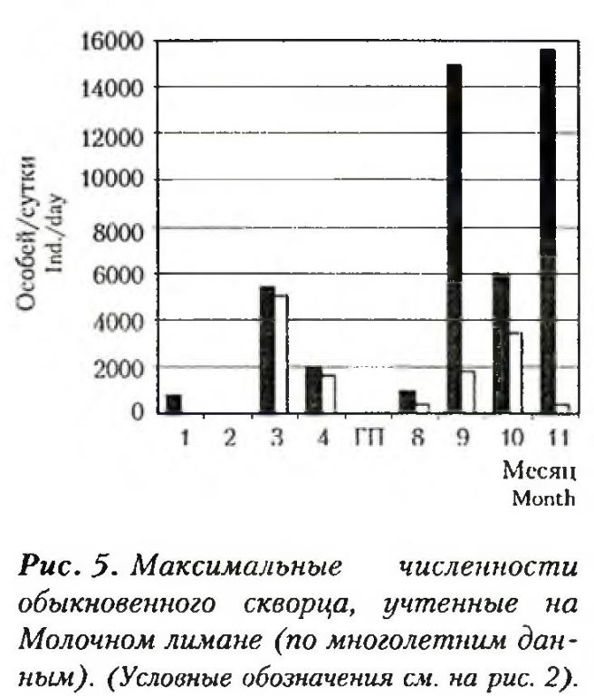 Рис. 5. Максимальные численности обыкновенного скворца, учтенные на Молочном лимане (по многолетним дан ным). (Условные обозначения см. на рис. 2)