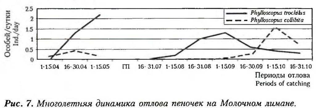 Рис. 7. Многолетняя динамика отлова пеночек на Молочном лимане.