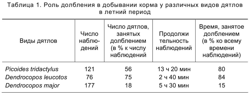 Таблица 1. Роль долбления в добывании корма у различных видов дятлов в летний период