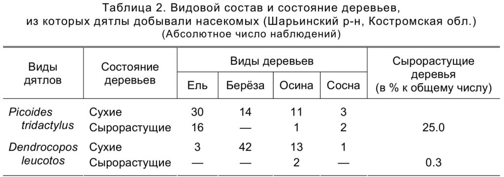 Таблица 2. Видовой состав и состояние деревьев, из которых дятлы добывали насекомых (Шарьинский р-н, Костромская обл.) (Абсолютное число наблюдений)