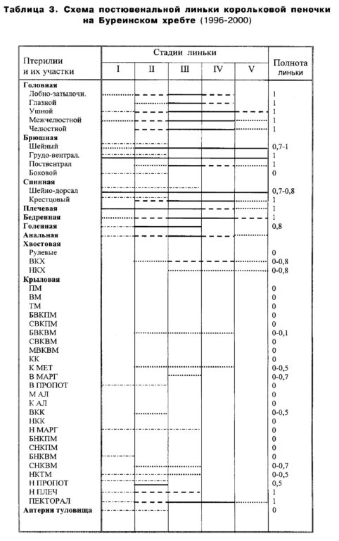 Таблица 3. Схема постювенальной линьки корольковой пеночки на Буреинском хребте (1996-2000)