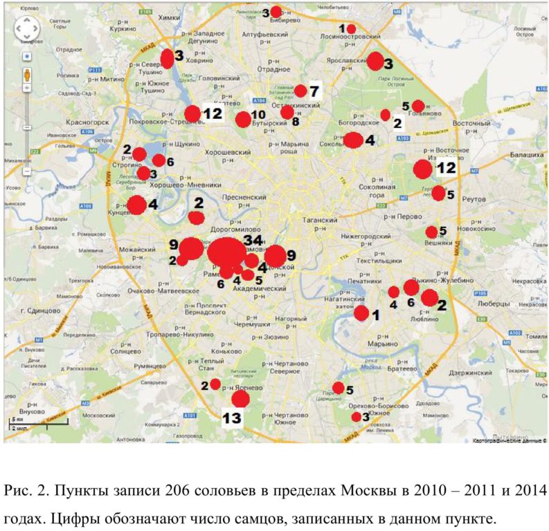 Рис. 2. Пункты записи 206 соловьев в пределах Москвы в 2010 – 2011 и 2014 годах. Цифры обозначают число самцов, записанных в данном пункте