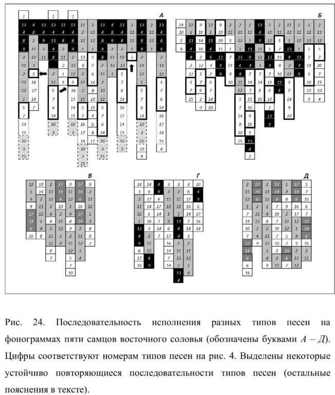 Рис.  24.  Последовательность  исполнения  разных  типов  песен  на  фонограммах пяти самцов восточного соловья (обозначены буквами А – Д)